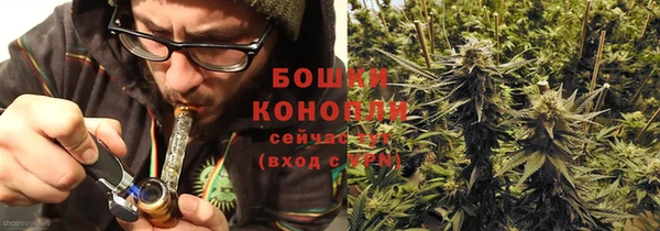 марки lsd Белокуриха