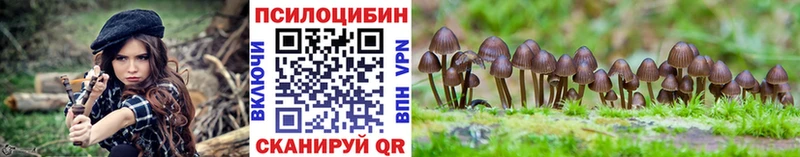 где купить наркоту  Минеральные Воды  Галлюциногенные грибы Psilocybe 